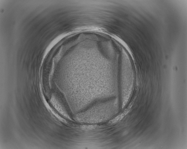 X0000082761389200702240053