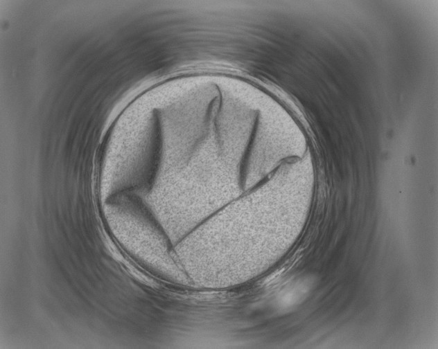 X0000082761390200702240053