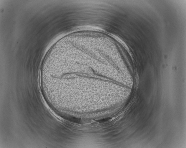 X0000082761391200702240053