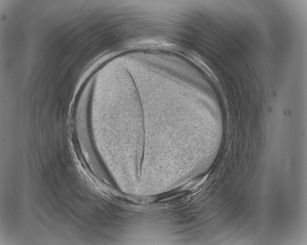 X0000082761392200702240053