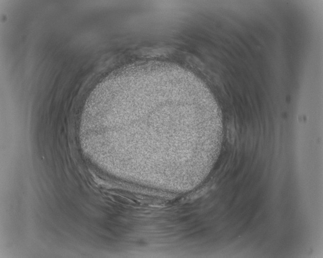 X0000082761393200702240052