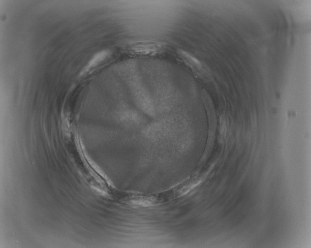 X0000082761394200702240052