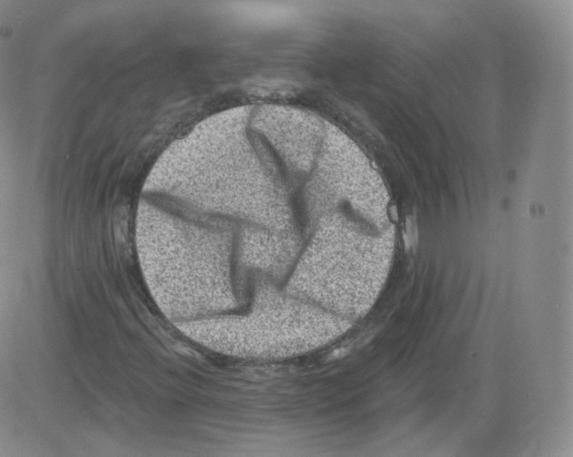 X0000082761396200702240052