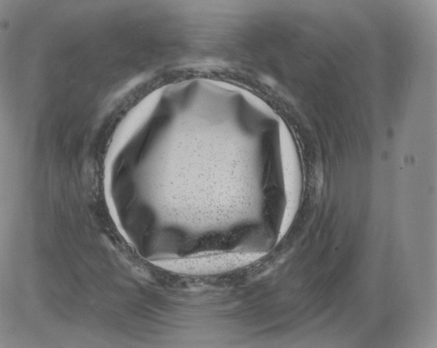 X0000082761398200702240053