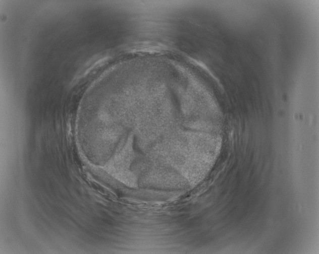 X0000082761399200702240053