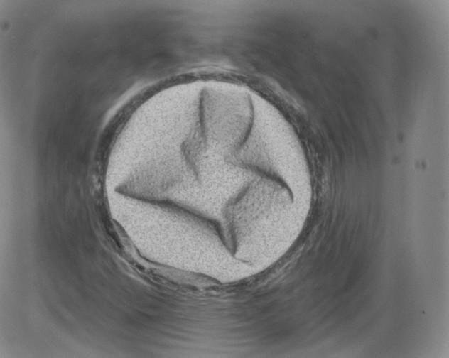 X0000082761400200702240053