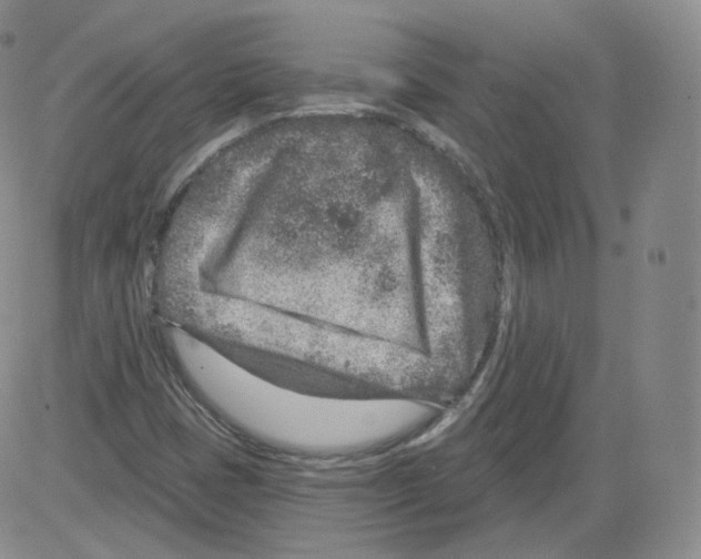 X0000082761401200702240053