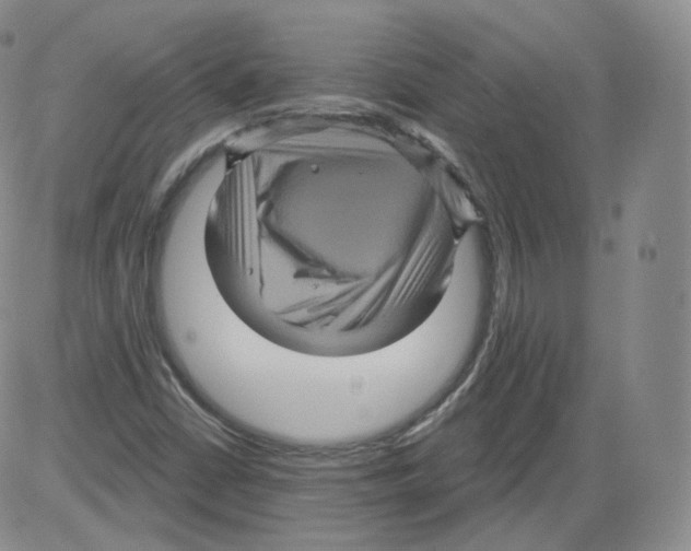 X0000082761402200702240053