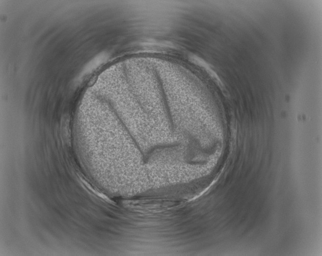 X0000082761403200702240053