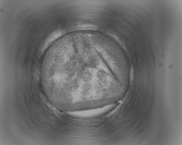 X0000082761405200702240053