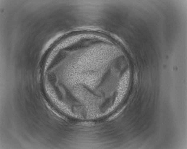 X0000082761406200702240053