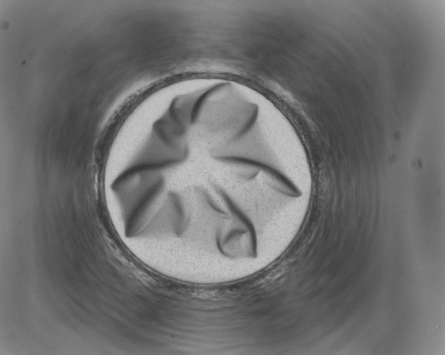 X0000082761408200702240053