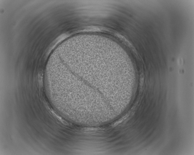 X0000082761409200702240053