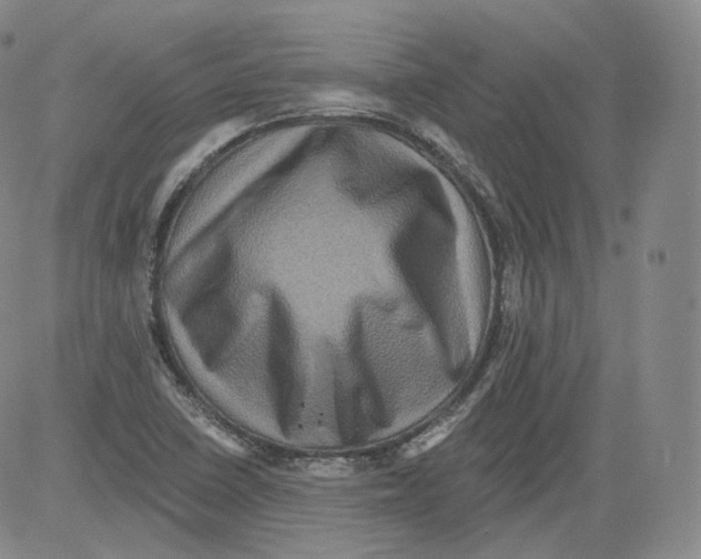 X0000082761410200702240053