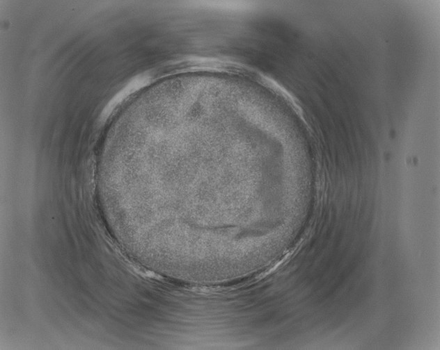 X0000082761411200702240053