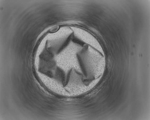 X0000082761412200702240053