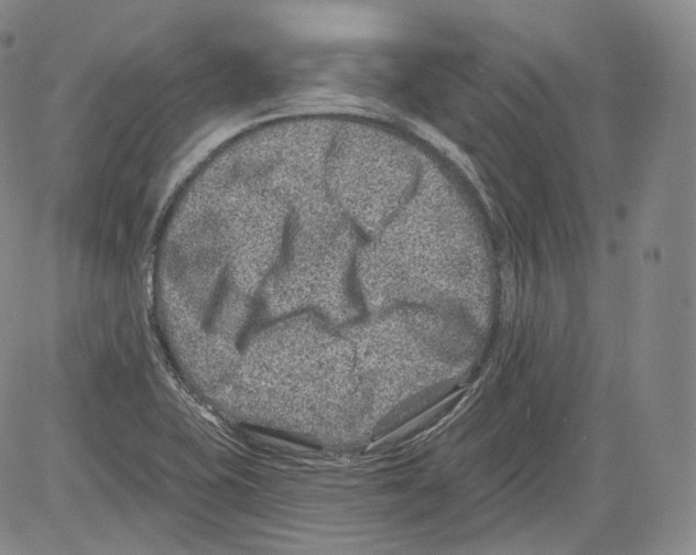 X0000082761415200702240053