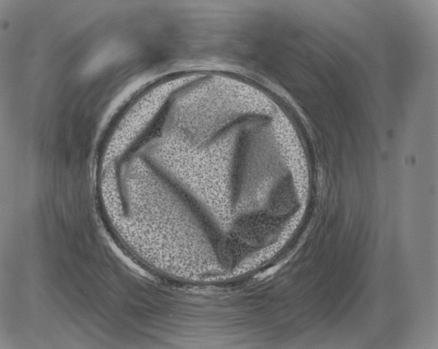 X0000082761416200702240053