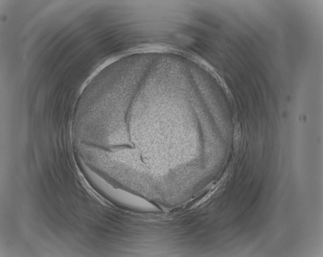 X0000082761417200702240053