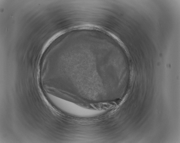 X0000082761418200702240053