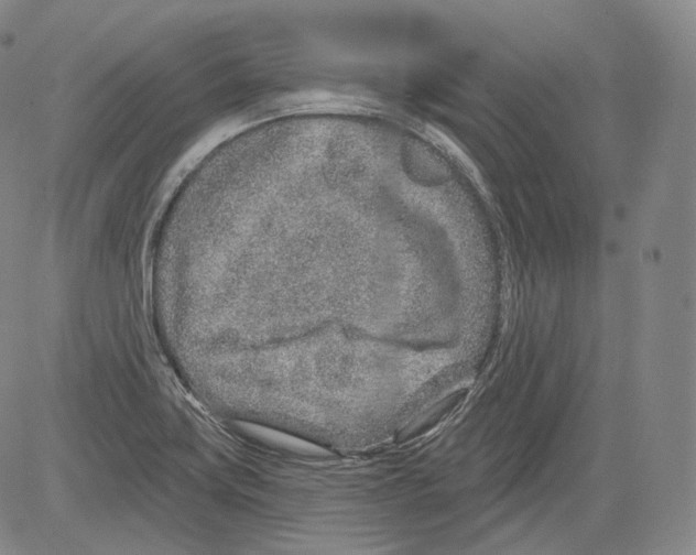 X0000082761419200702240053