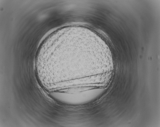 X0000082761420200702240053