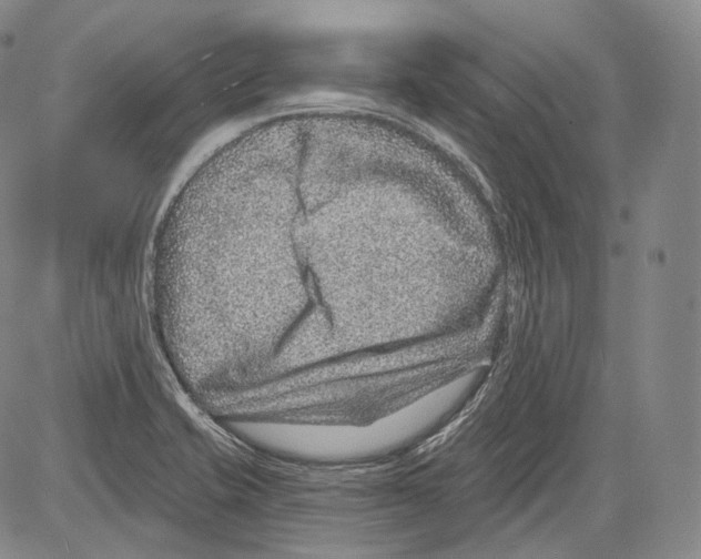 X0000082761421200702240053