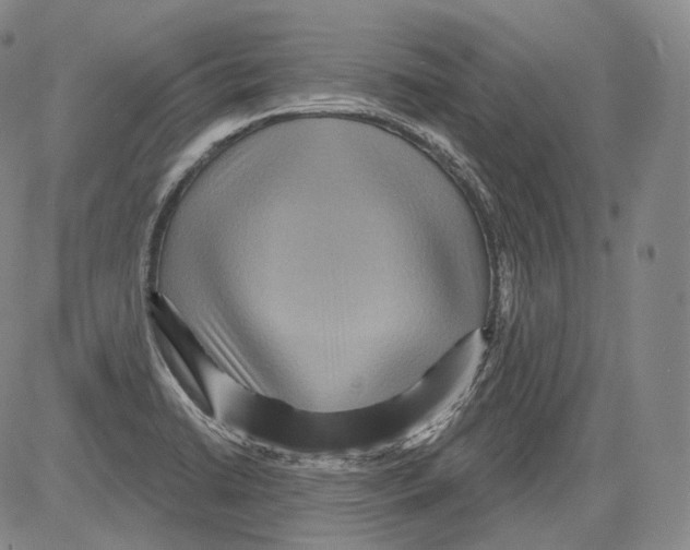 X0000082761422200702240053