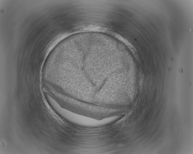 X0000082761423200702240053