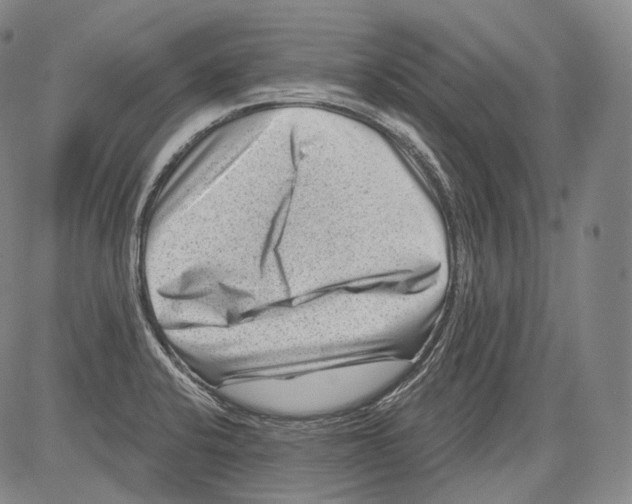 X0000082761424200702240053