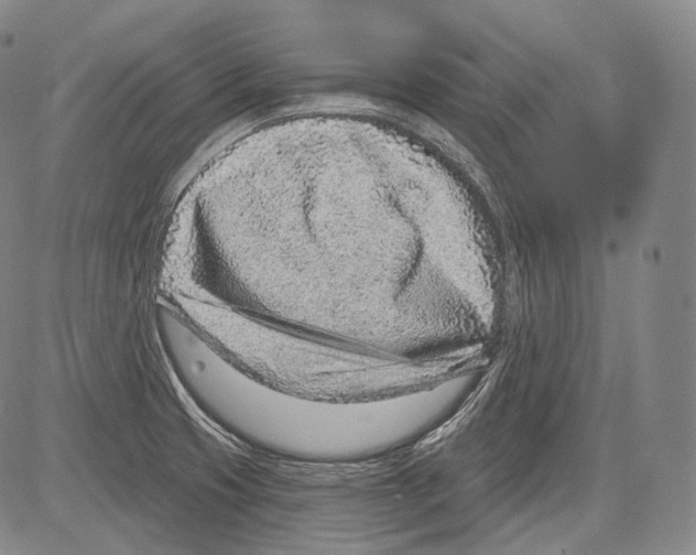 X0000082761425200702240053