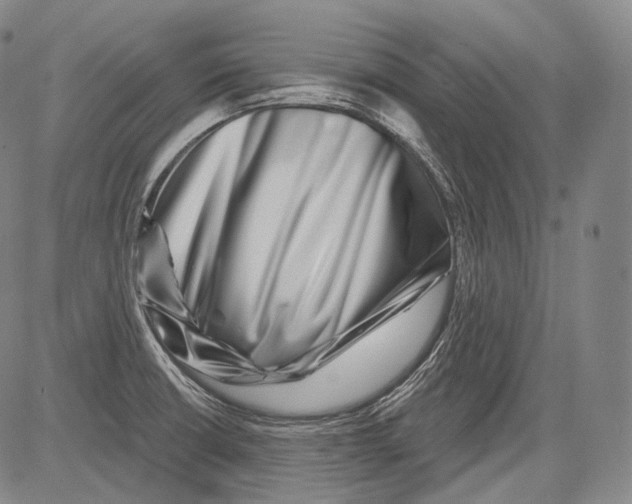 X0000082761426200702240053