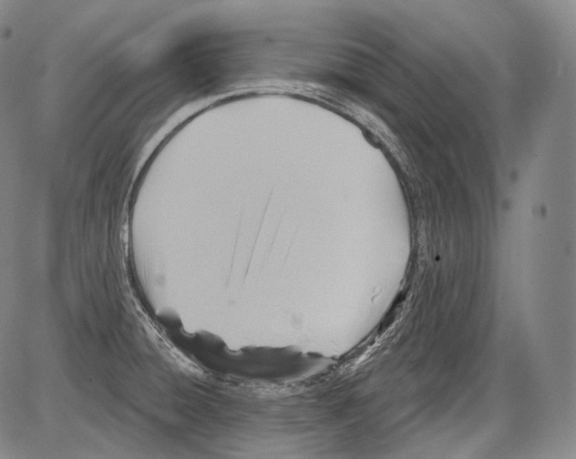 X0000082761428200702240053