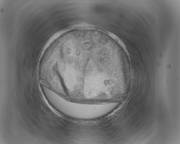 X0000082761429200702240053