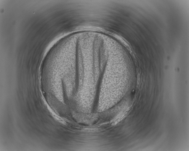 X0000082761430200702240053