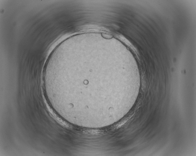 X0000082761431200702240053