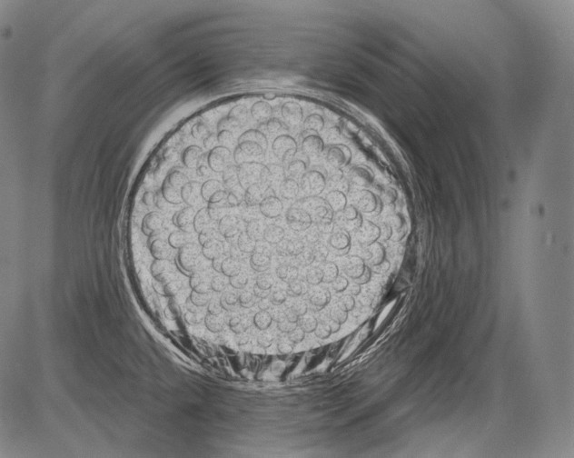 X0000082761432200702240053