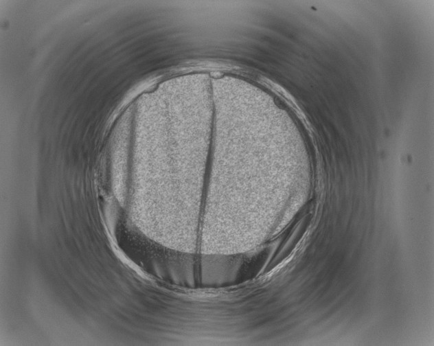 X0000082761433200702240053