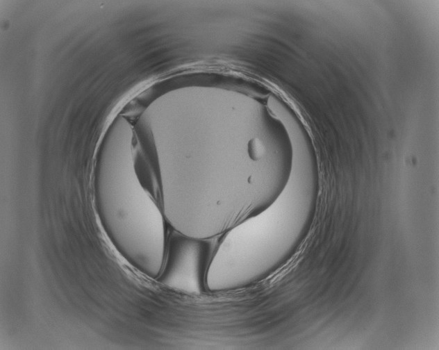 X0000082761434200702240053