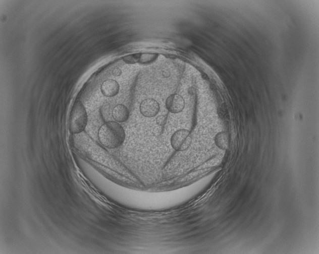 X0000082761435200702240053