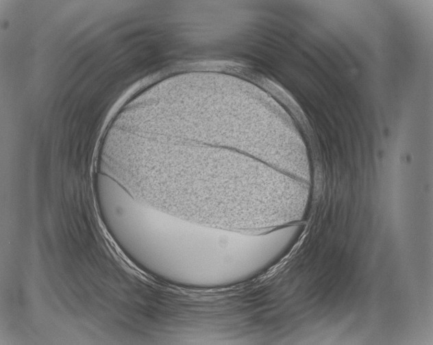 X0000082761436200702240053