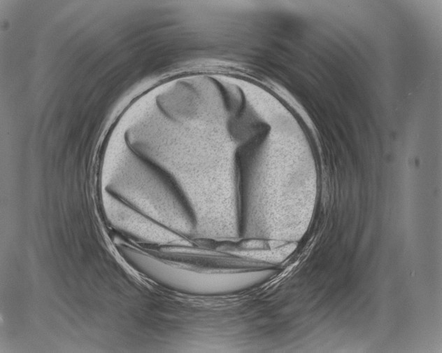 X0000082761437200702240053