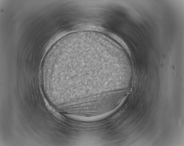 X0000082761439200702240053