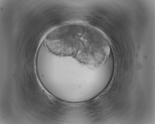 X0000082761440200702240053