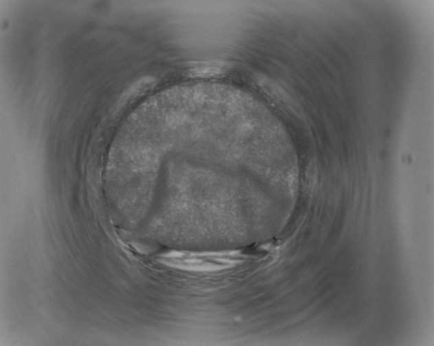 X0000082761441200702240052