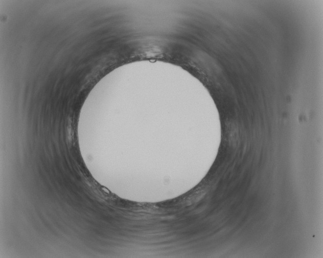 X0000082761442200702240052