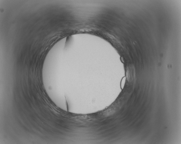 X0000082761444200702240052