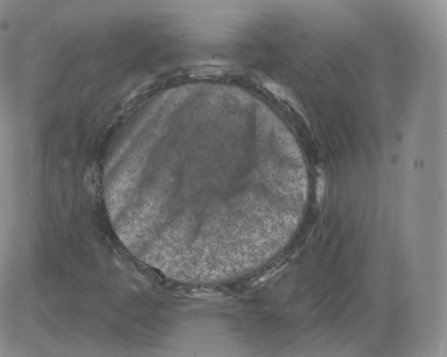 X0000082761445200702240052