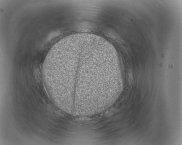 X0000082761446200702240052