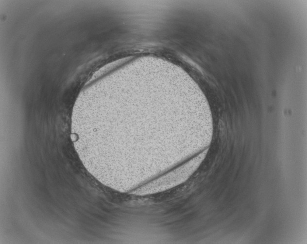 X0000082761447200702240052